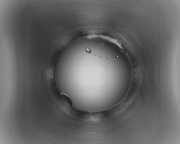 X0000112390368200908201547