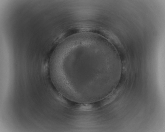 X0000112390369200908201547