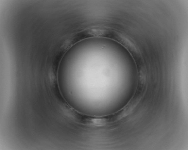 X0000112390371200908201547