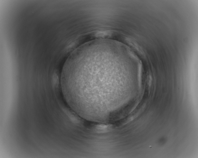 X0000112390375200908201547