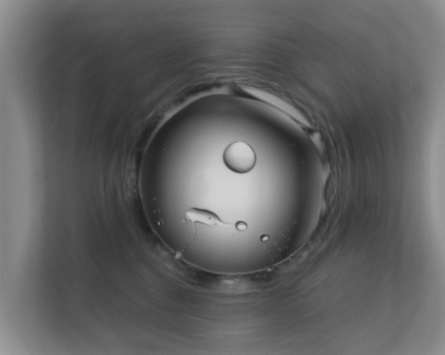 X0000112390376200908201547