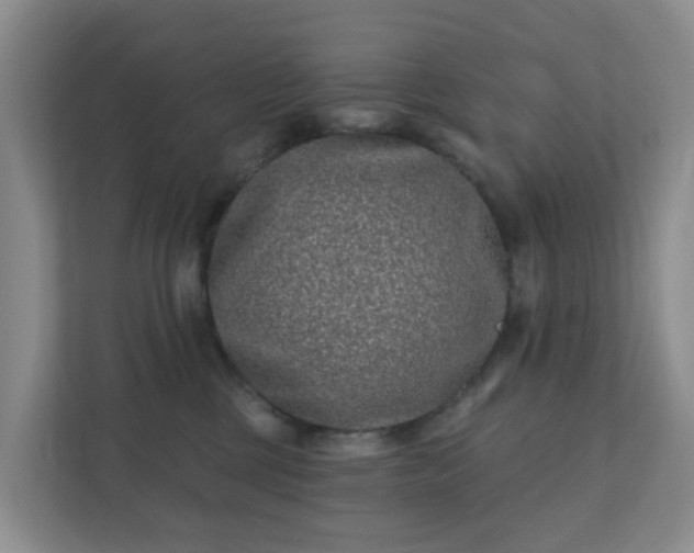 X0000112390377200908201547