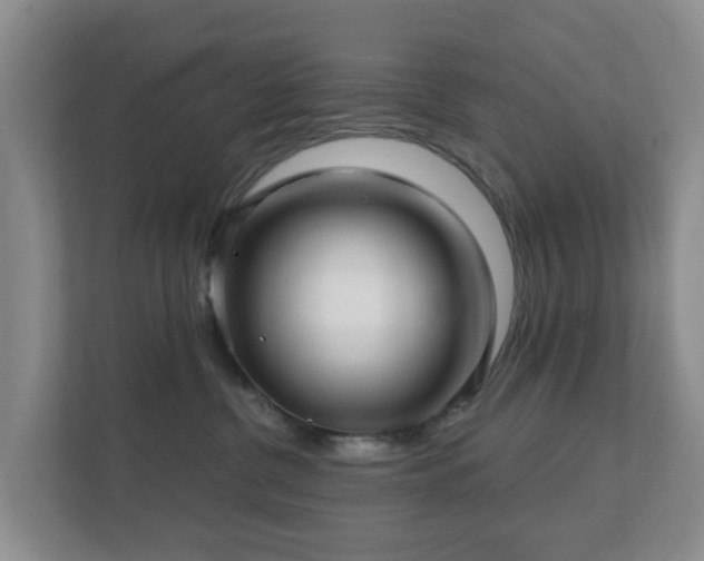 X0000112390380200908201547