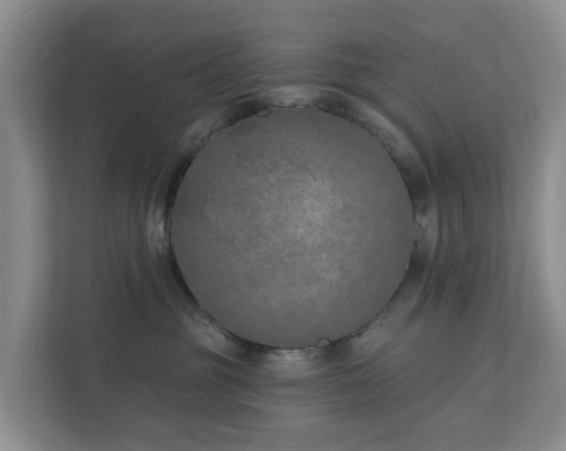 X0000112390381200908201547