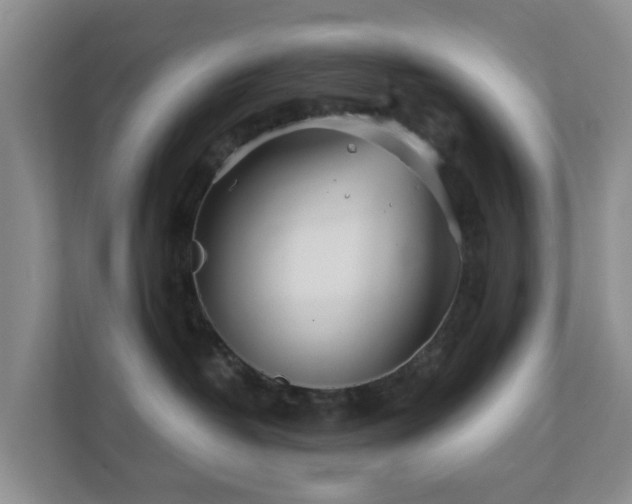 X0000112390382200908201547