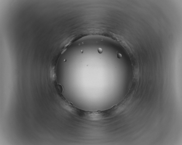 X0000112390383200908201547