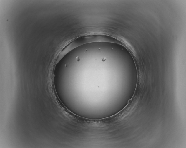 X0000112390385200908201546