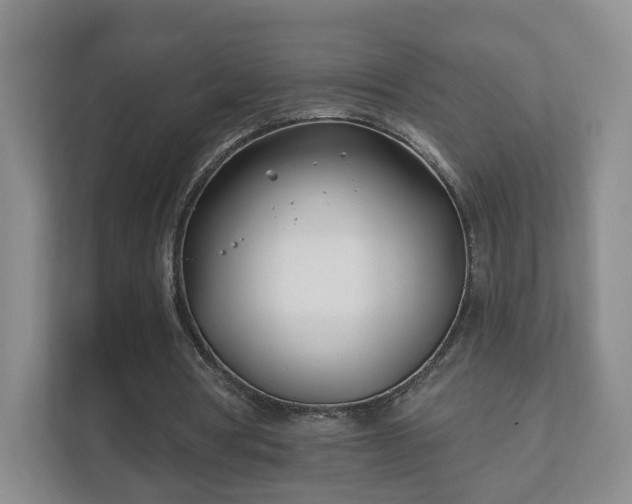 X0000112390386200908201546