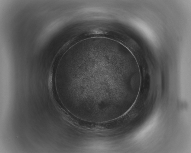 X0000112390387200908201546