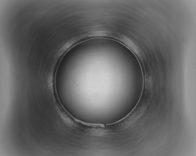 X0000112390389200908201546