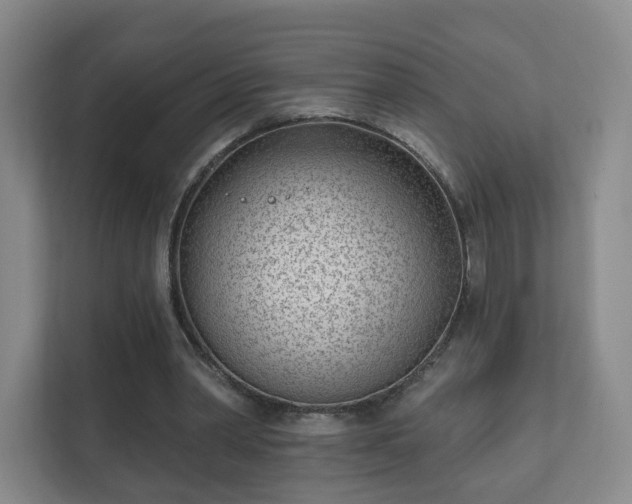 X0000112390390200908201546