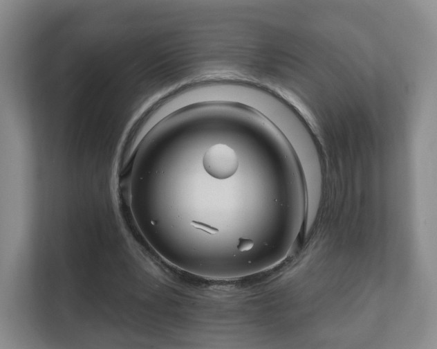 X0000112390391200908201546