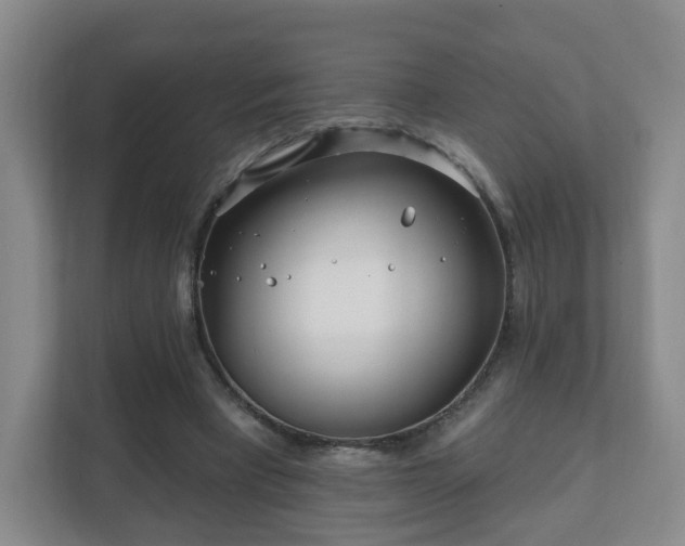 X0000112390393200908201546