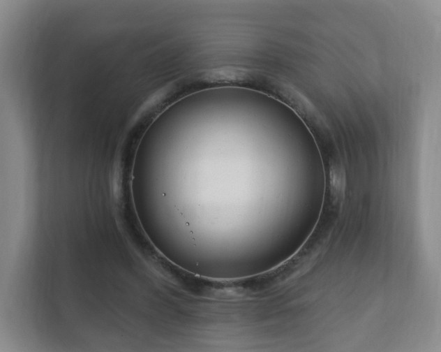 X0000112390396200908201546