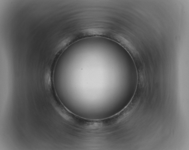 X0000112390398200908201546