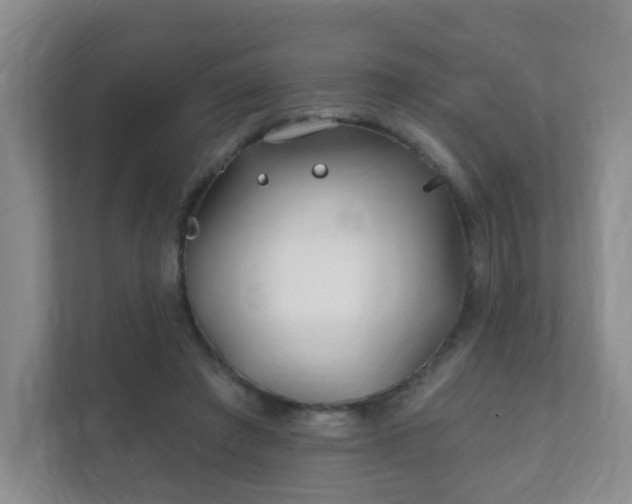 X0000112390401200908201546