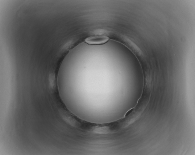 X0000112390403200908201546