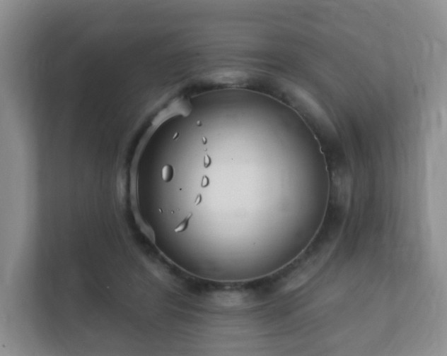 X0000112390404200908201546