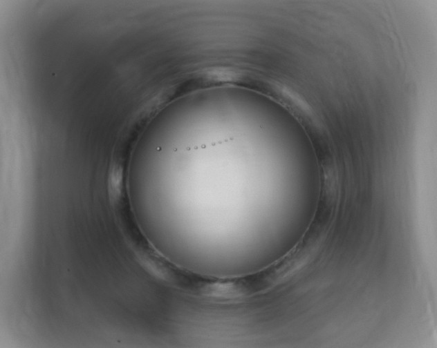 X0000112390406200908201546