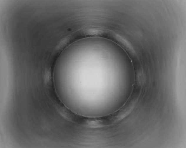 X0000112390407200908201546