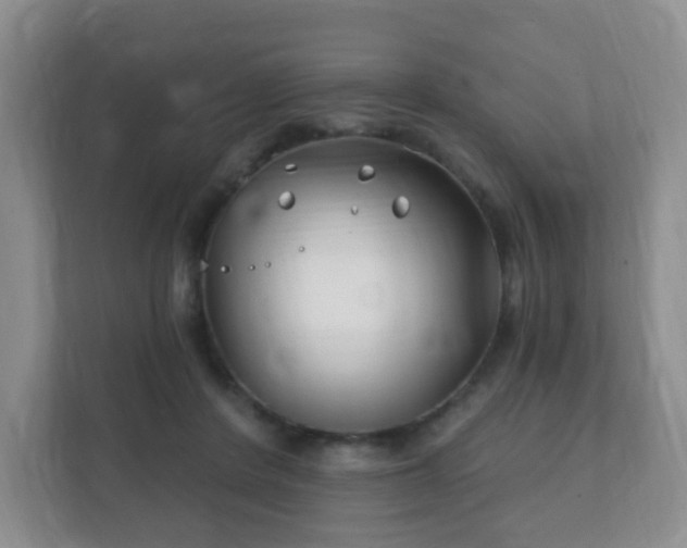 X0000112390408200908201546