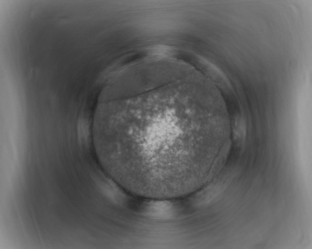 X0000112390409200908201546