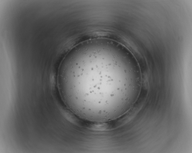 X0000112390410200908201546
