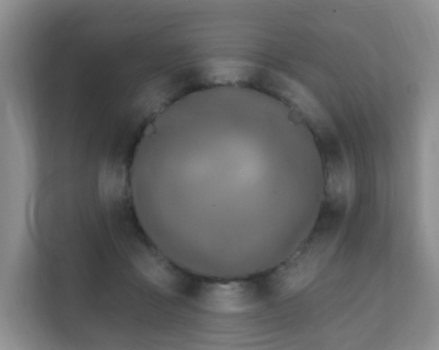 X0000112390411200908201546