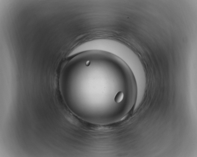 X0000112390413200908201546