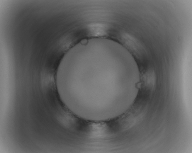 X0000112390415200908201546