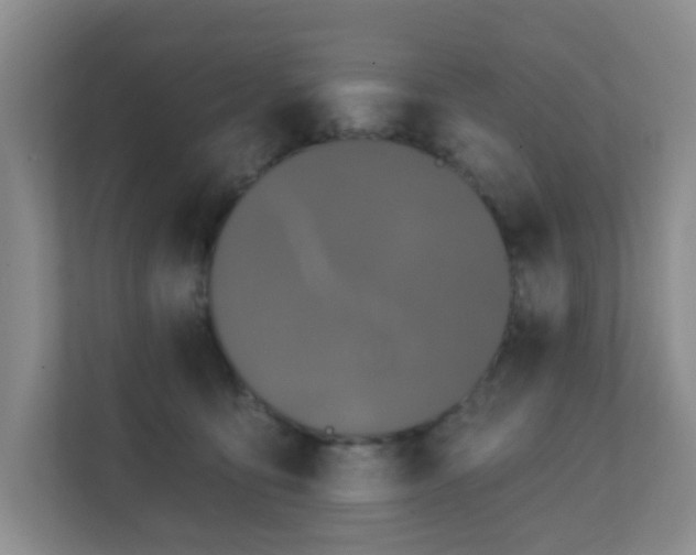 X0000112390419200908201546