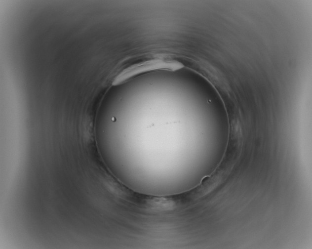 X0000112390421200908201546