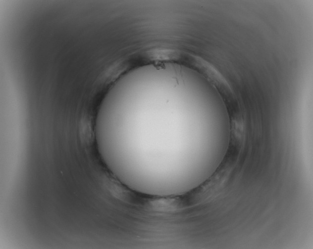 X0000112390422200908201546