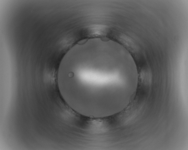 X0000112390423200908201546