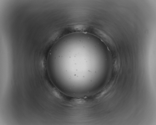 X0000112390424200908201546