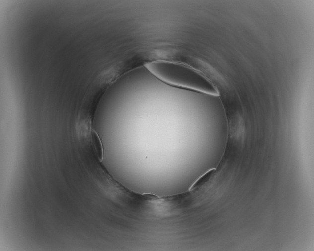 X0000112390425200908201546