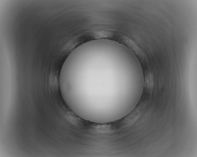 X0000112390426200908201546