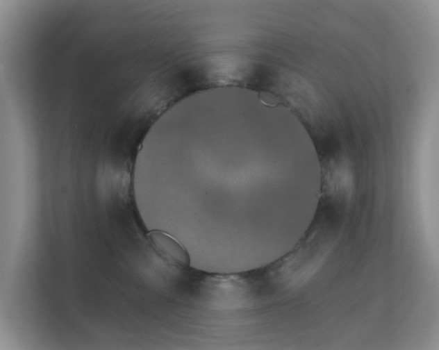 X0000112390427200908201546