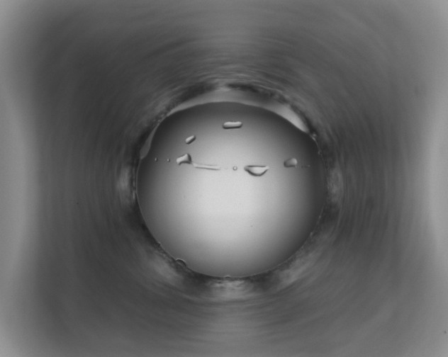 X0000112390428200908201546