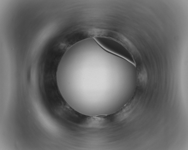 X0000112390429200908201546