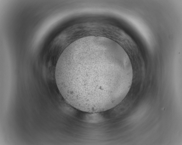 X0000112390431200908201546