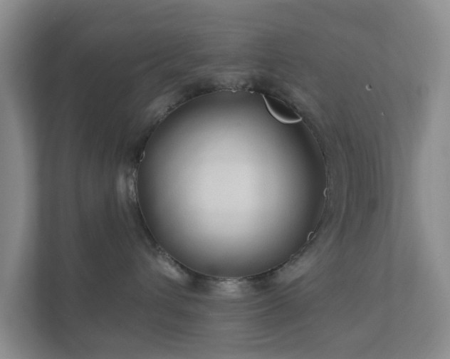 X0000112390432200908201546