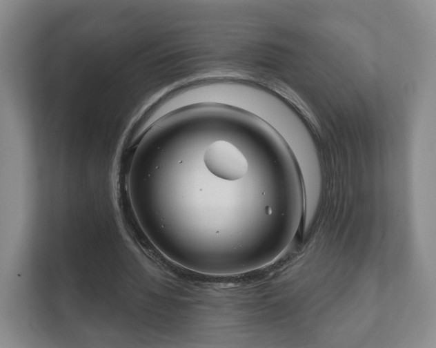 X0000112390436200908201545