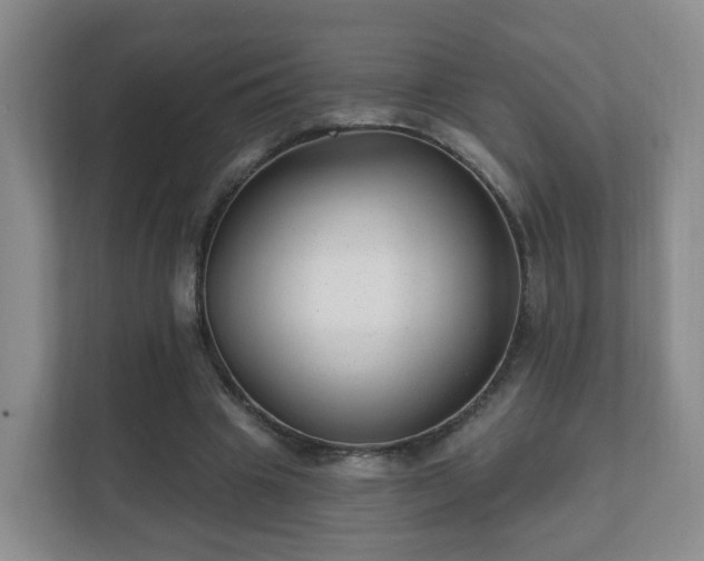 X0000112390441200908201545