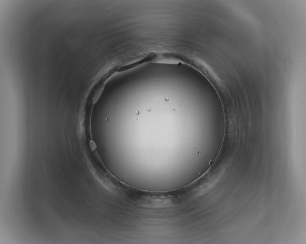 X0000112390443200908201545