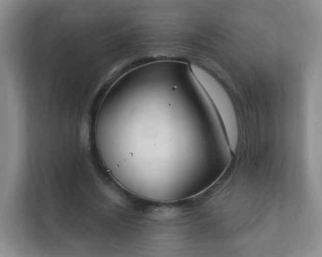 X0000112390444200908201545