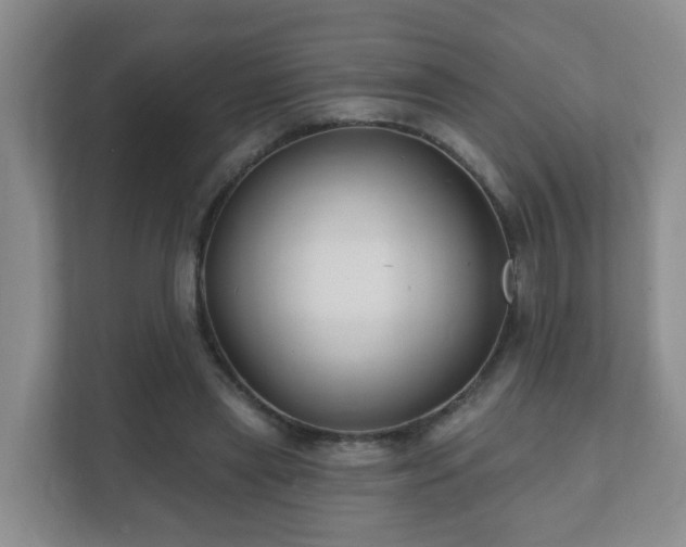 X0000112390445200908201545