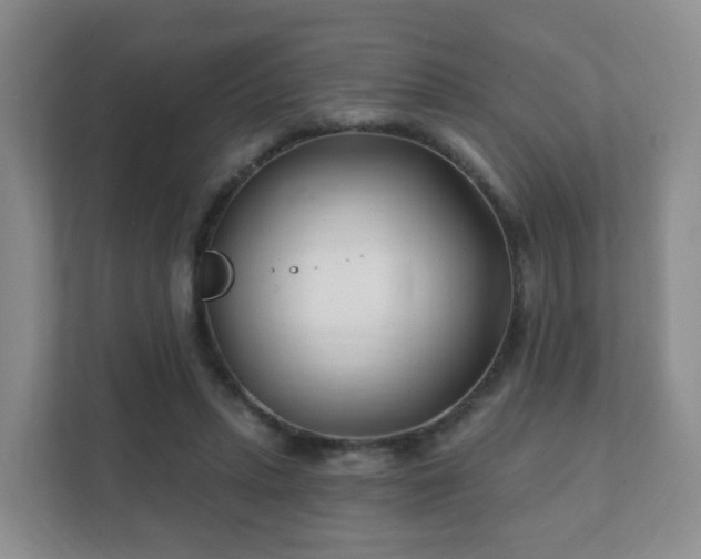 X0000112390447200908201545