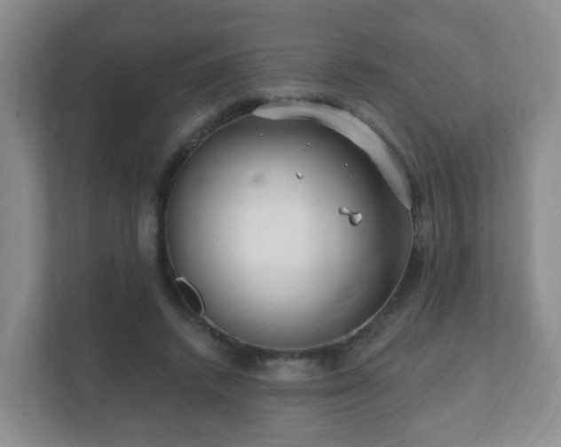 X0000112390448200908201545