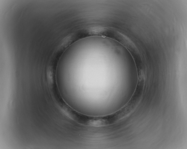 X0000112390452200908201545